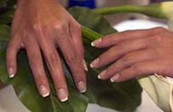 Manicure Spa Services